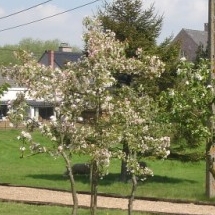 Charmehotel De stokerij te Oudenburg, West-Vlaanderen - Overnachten nabij Brugge, Oostende en De Haan